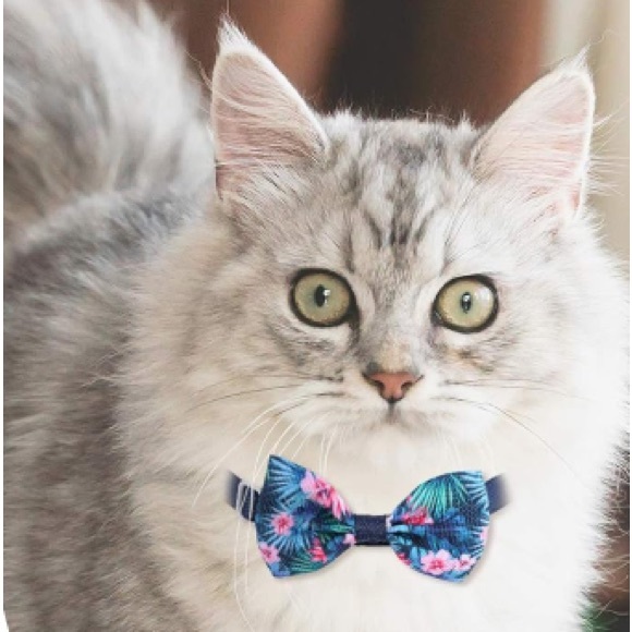6 Colorful Pet Bow Ties With Collar - Picture 3 of 3